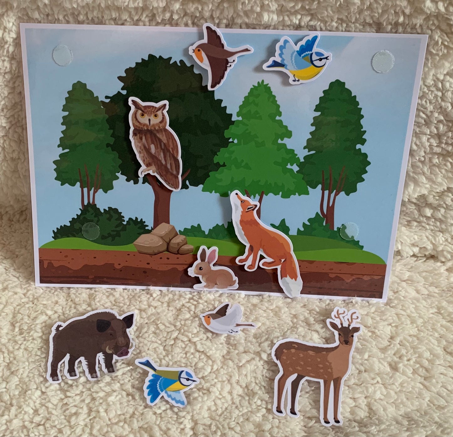Paysages animaux