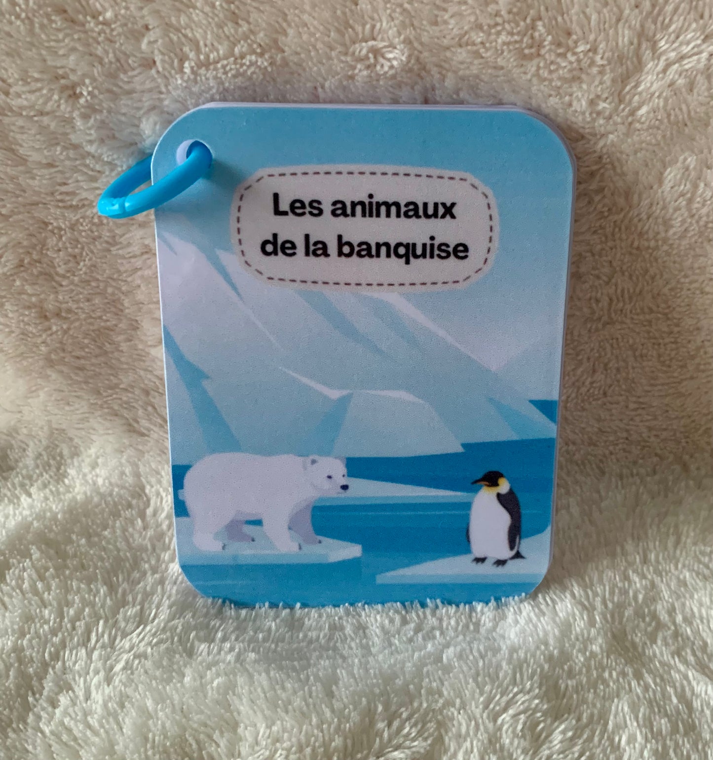 Imagier des animaux de la banquise