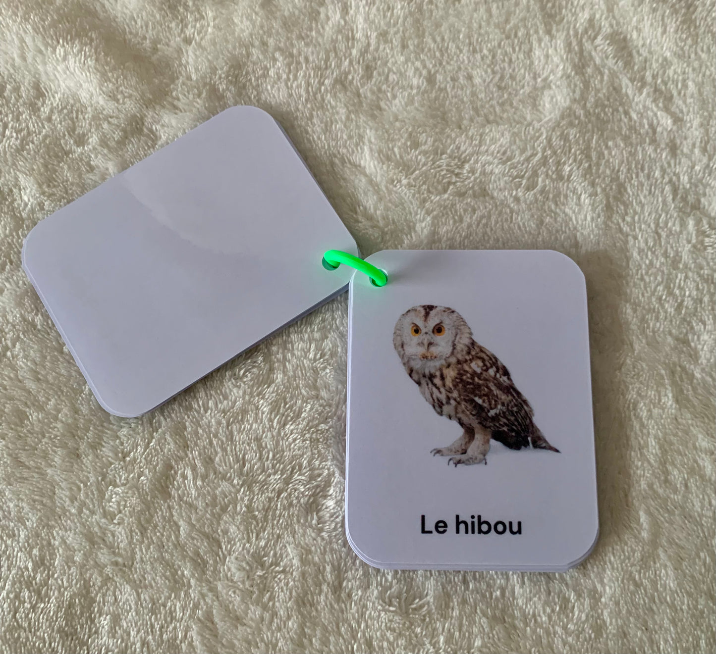 Imagier des animaux de la forêt