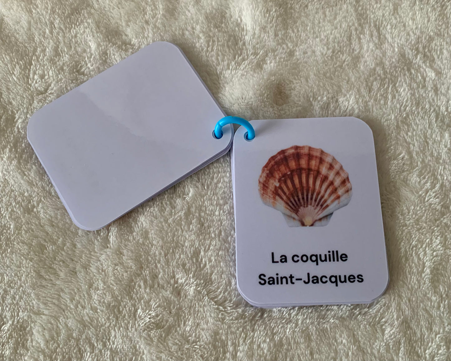 Imagier des animaux de la mer