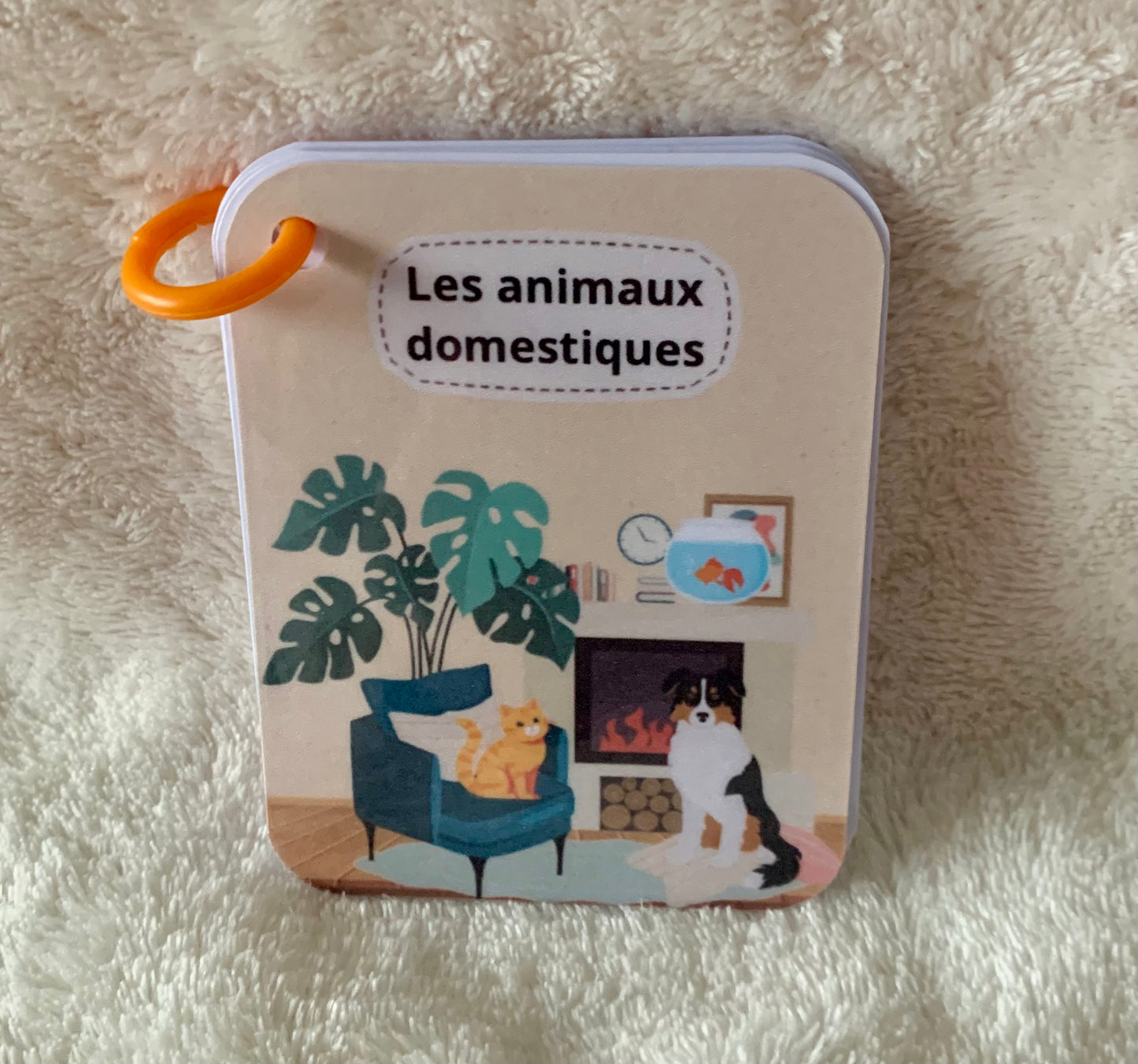 Imagier des animaux domestiques