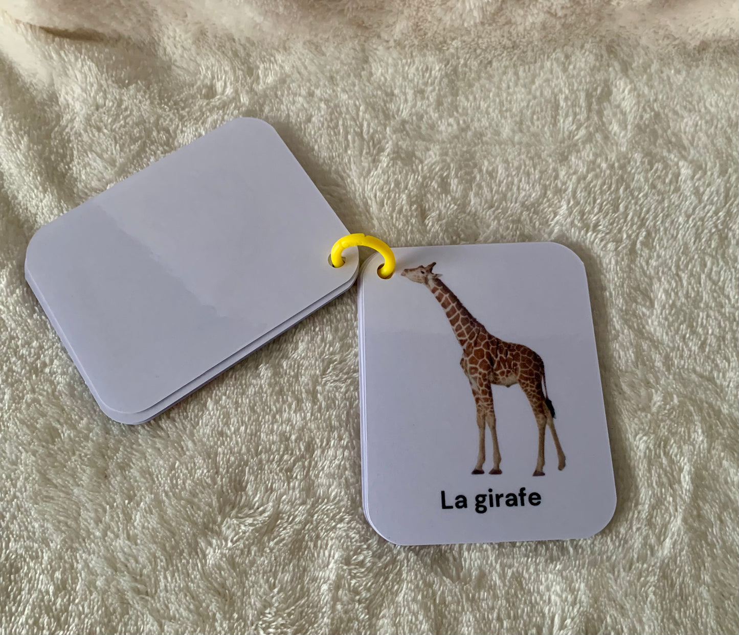 Imagier des animaux de la savane