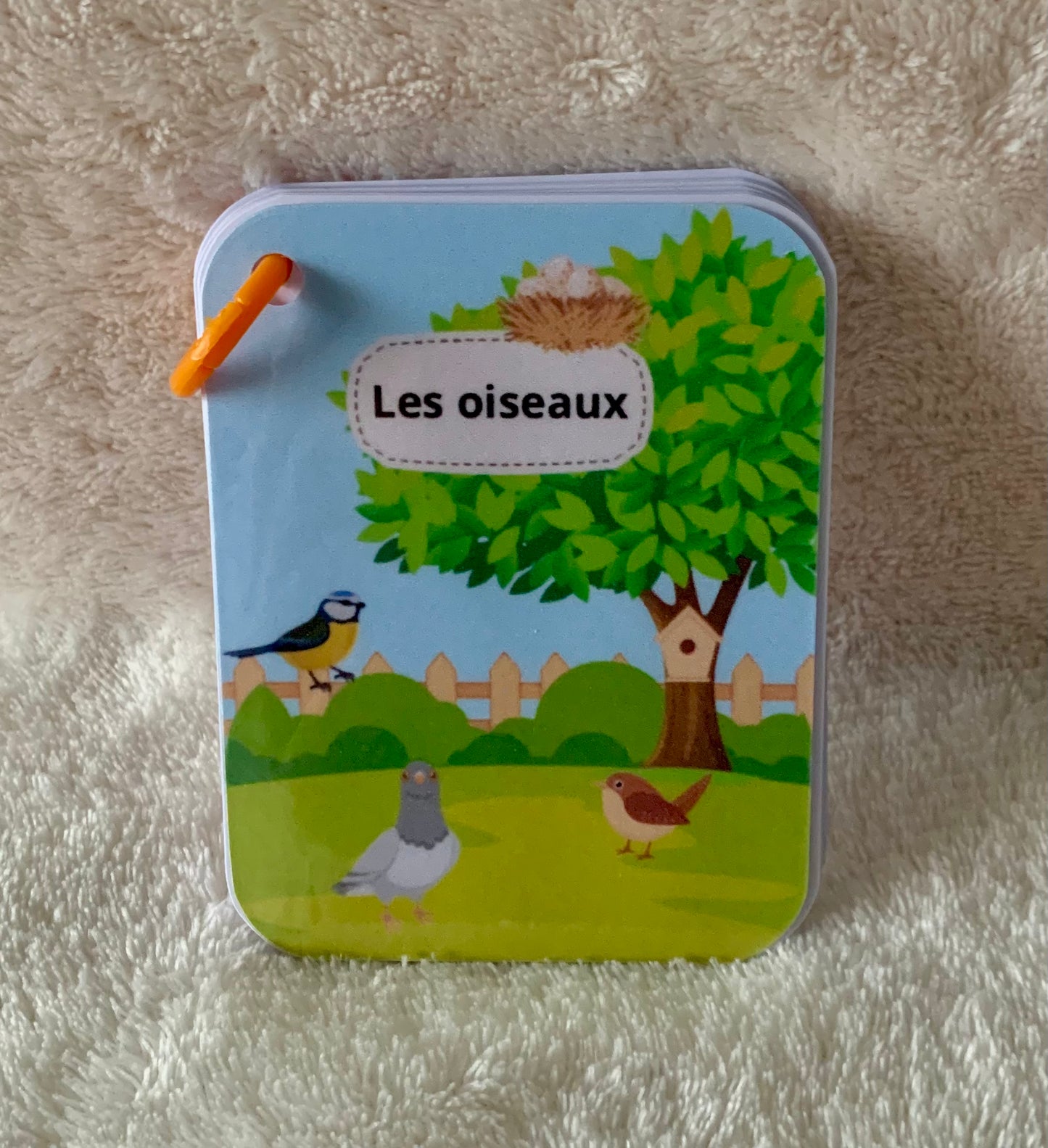 Imagier des oiseaux