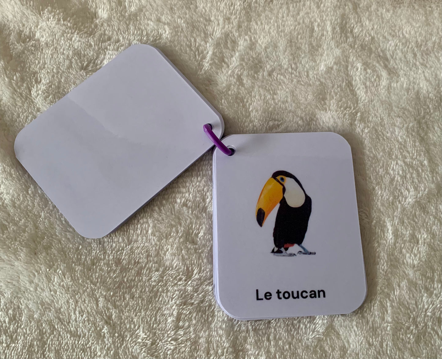 Imagier des animaux de la jungle