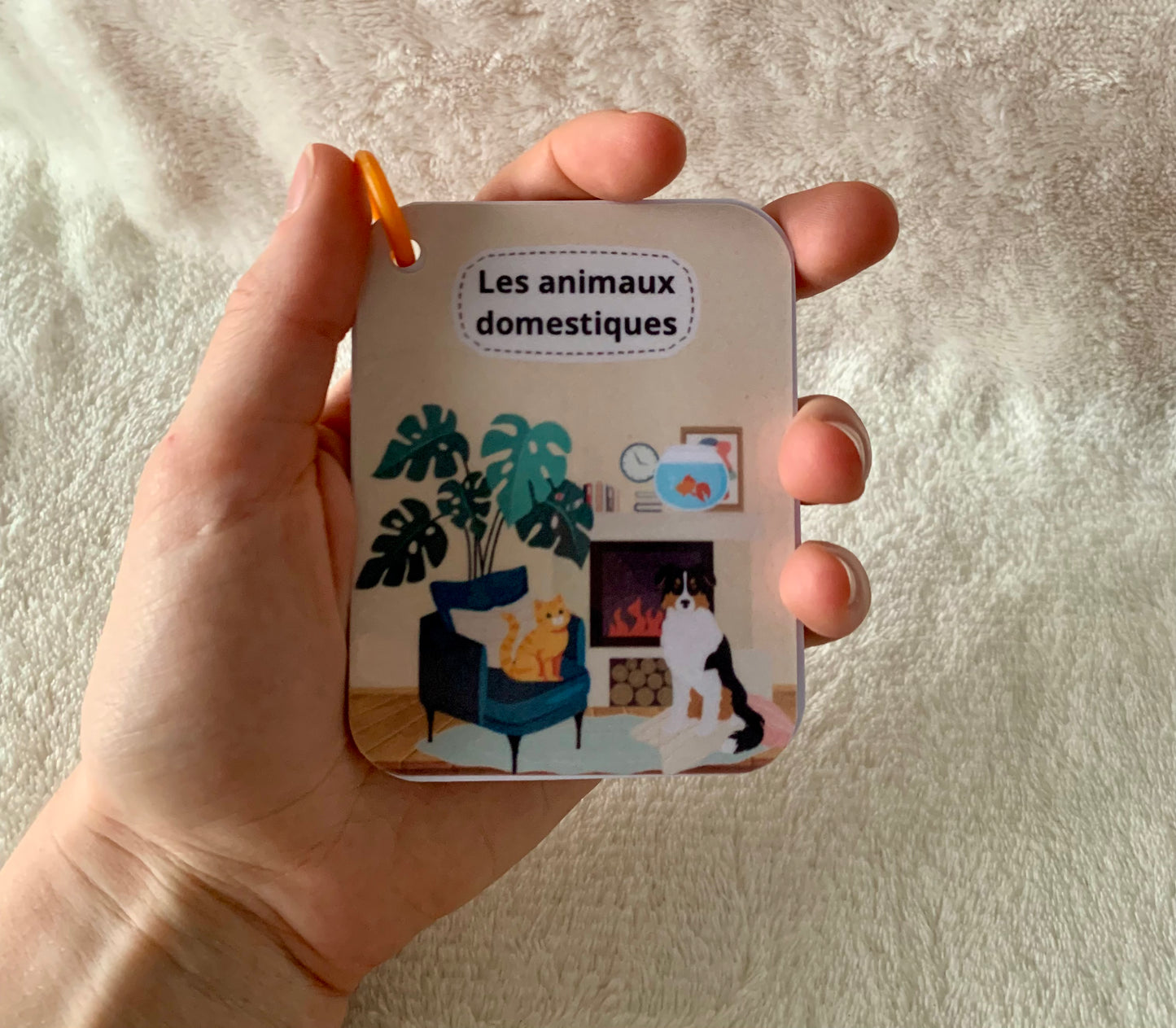 Imagier des animaux domestiques
