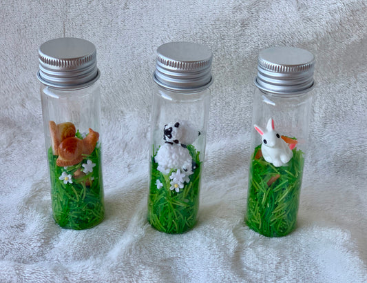 Pack bouteilles sensorielles : Animaux