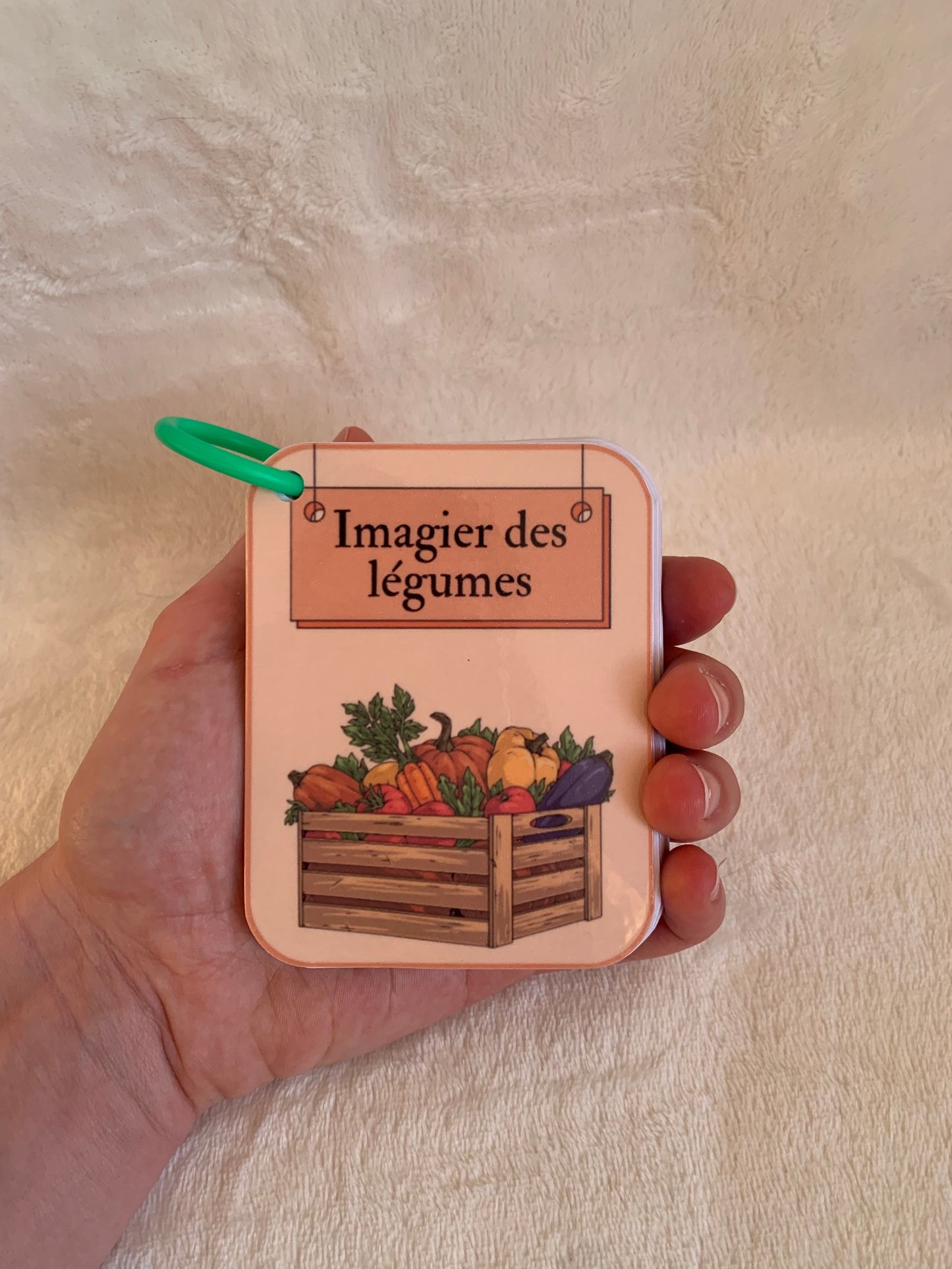 Imagier des légumes