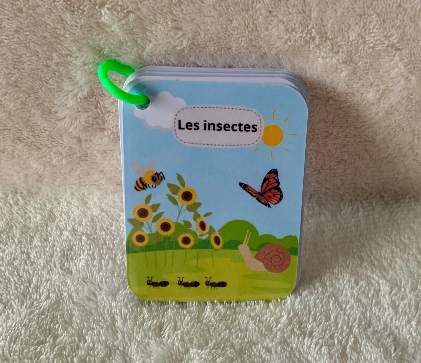 Imagier des insectes