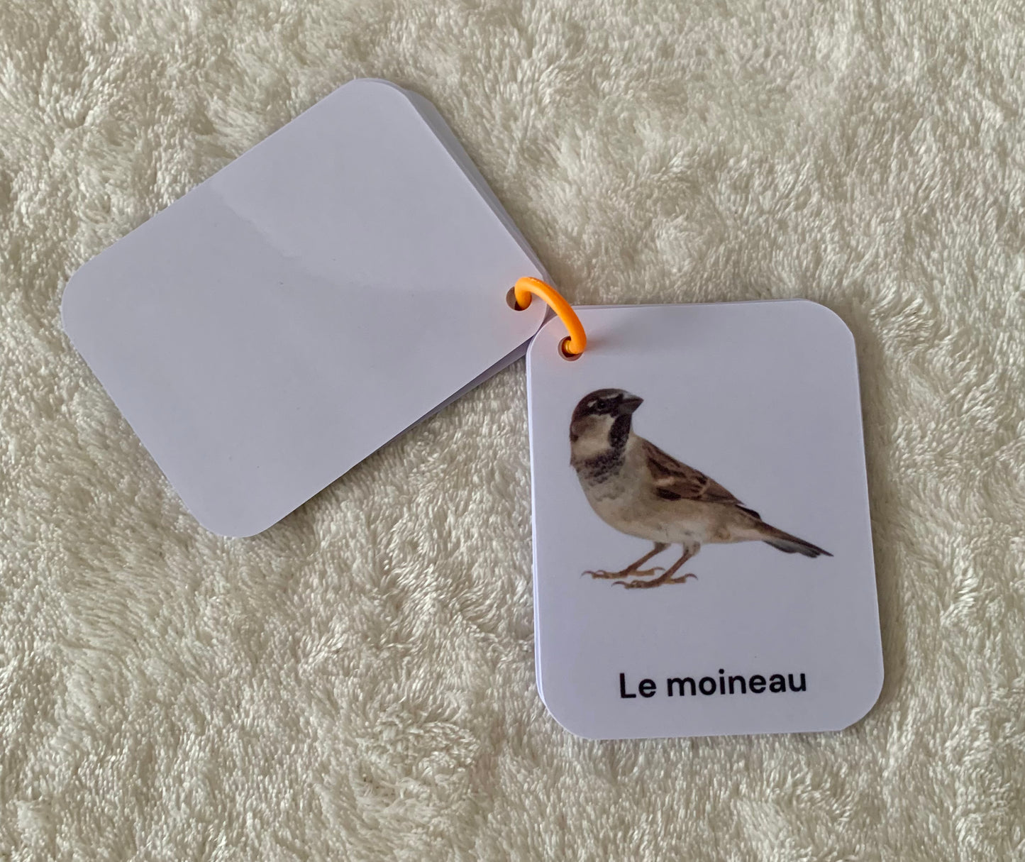Imagier des oiseaux