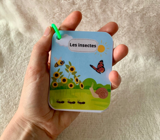Imagier des insectes