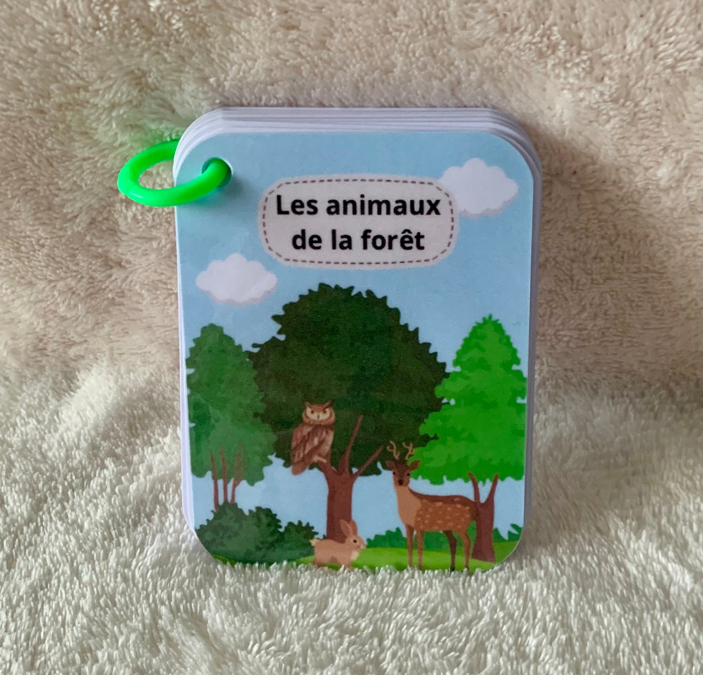 Imagier des animaux de la forêt